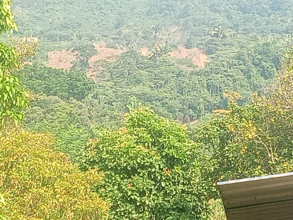 WhatsApp Image 2025-09-26 at 16.44.36