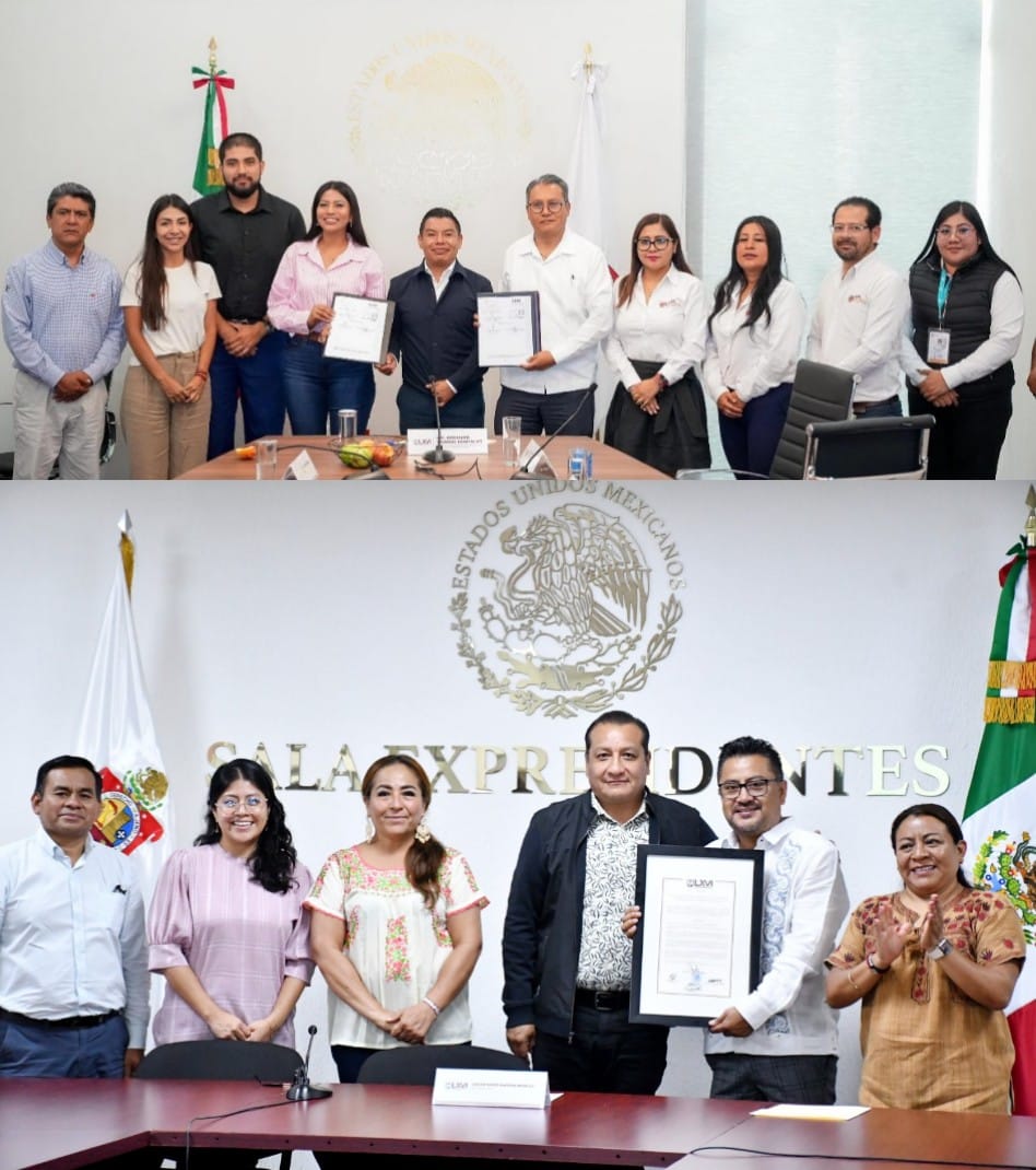 WhatsApp Image 2025-10-02 at 20.34.21